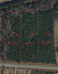 TBD Joyner Swamp Rd., Galivants Ferry, SC 29544