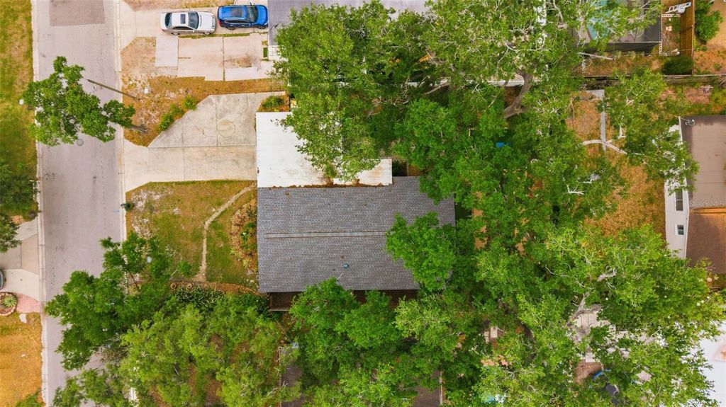 Image 33 of property listing at 8018 N OLA AVENUE, Tampa, FL 33604