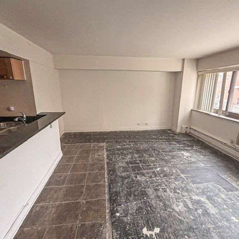7337 S South Shore Drive 220, Chicago, IL 60649