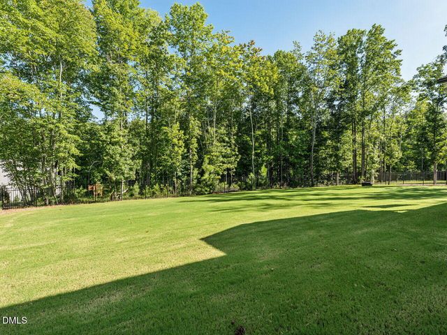 196 W Amber Oak Drive, Selma, NC 27576