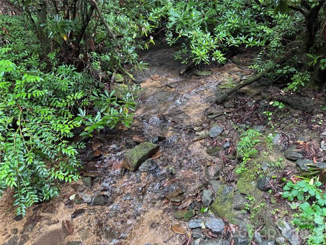 280 Laurel Creek, Cedar Mountain, NC 28718