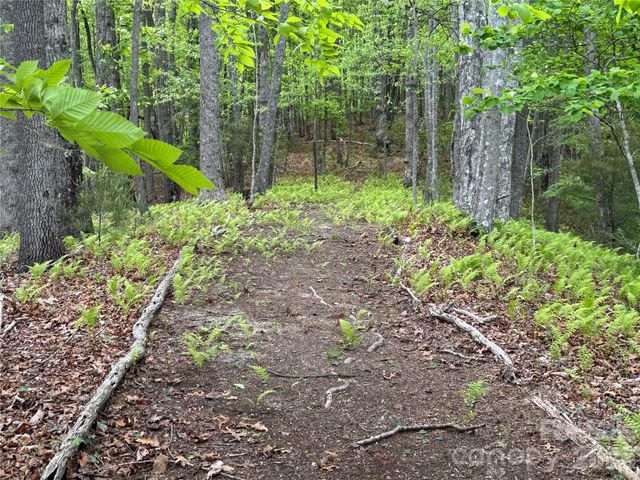 280 Laurel Creek, Cedar Mountain, NC 28718