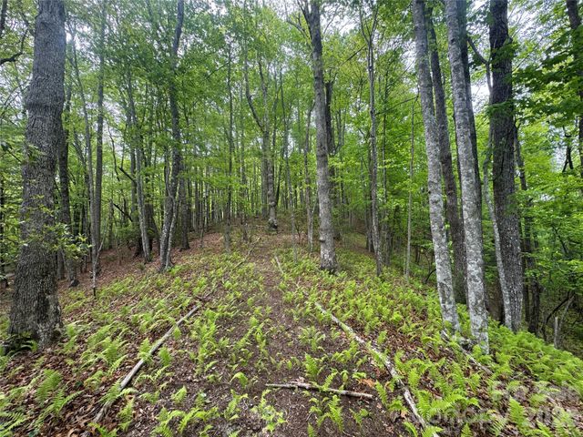 280 Laurel Creek, Cedar Mountain, NC 28718