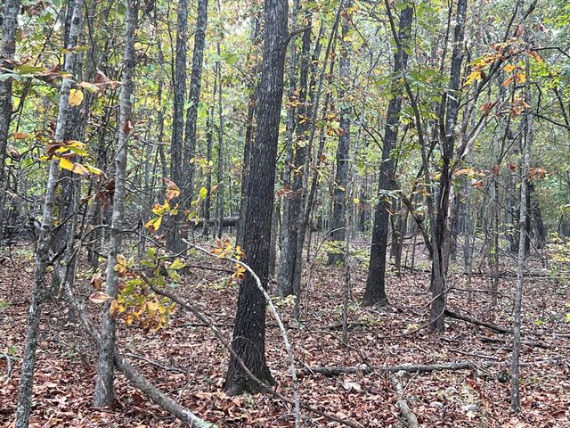 Lot 1 County Road 113, Alton, MO 65606