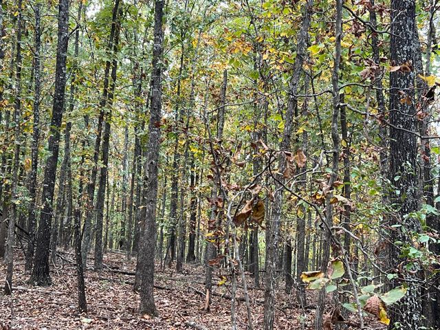 Lot 1 County Road 113, Alton, MO 65606