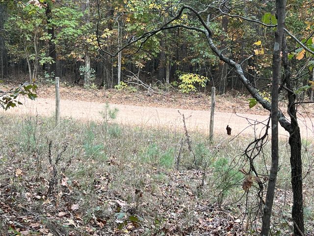 Lot 1 County Road 113, Alton, MO 65606