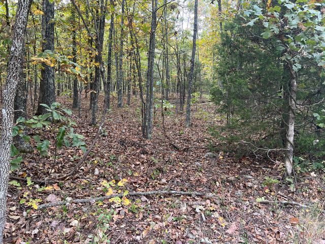 Lot 1 County Road 113, Alton, MO 65606