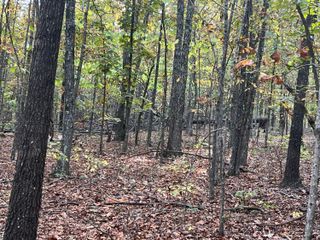 Lot 1 County Road 113, Alton, MO 65606