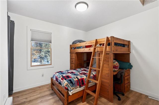 30284 Nicaboyne Lake Road, Danbury, WI 54830