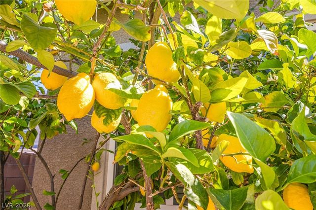 241 Desert Arroyo Court, Henderson, NV 89012