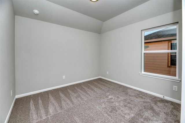 21126 Sunlight Grove Drive, Bonney, TX 77583