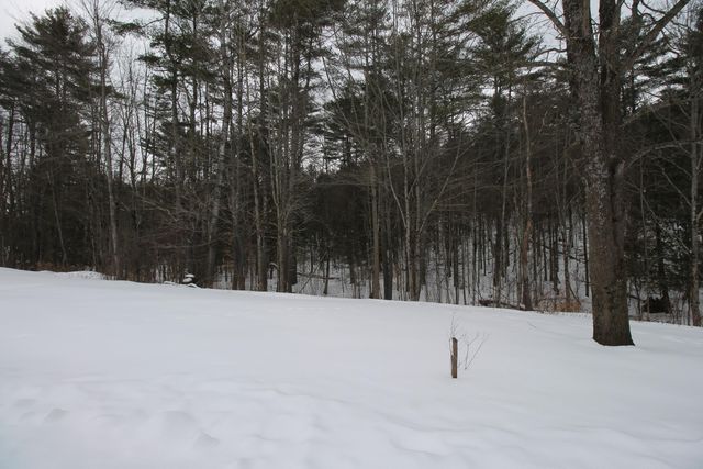 76 Moss Road, Lewis, NY 12950