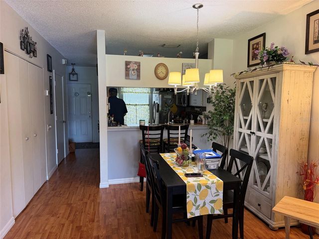 6211 BAYSIDE KEY DRIVE, Tampa, FL 33615