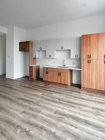 1304 S Ashland Avenue 300, Chicago, IL 60608