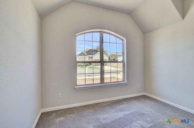 1724 Heritage Maples, New Braunfels, TX 78132