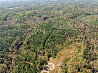 0 Cox Hollow Rd, Dover, TN 37058