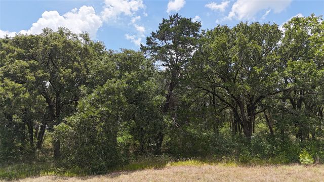 Lot 7 NE County Road 3040, Kerens, TX 75144