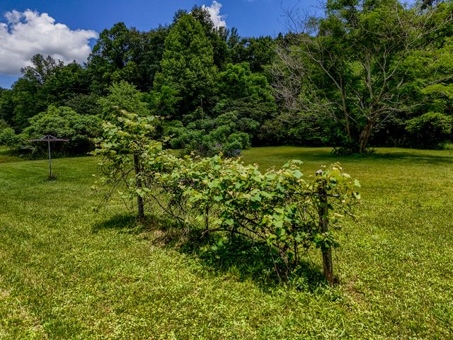 460 Rockfork Road, Morehead, KY 40351
