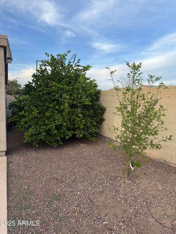 19229 W ADAMS Street, Buckeye, AZ 85326