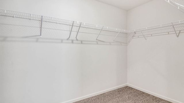 266 Snowdrop Lane, Elgin, IL 60124