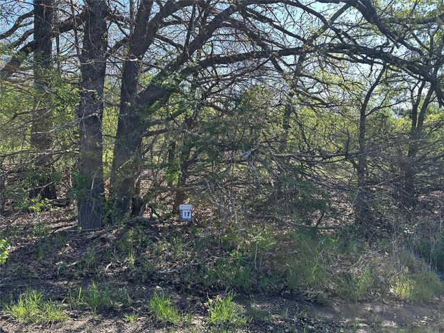 Tract 17 County Road 2960, Honey Grove, TX 75446