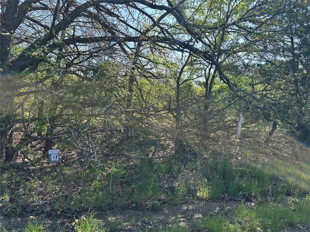 Tract 17 County Road 2960, Honey Grove, TX 75446