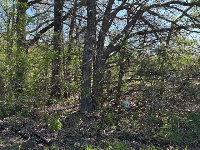 Tract 17 County Road 2960, Honey Grove, TX 75446