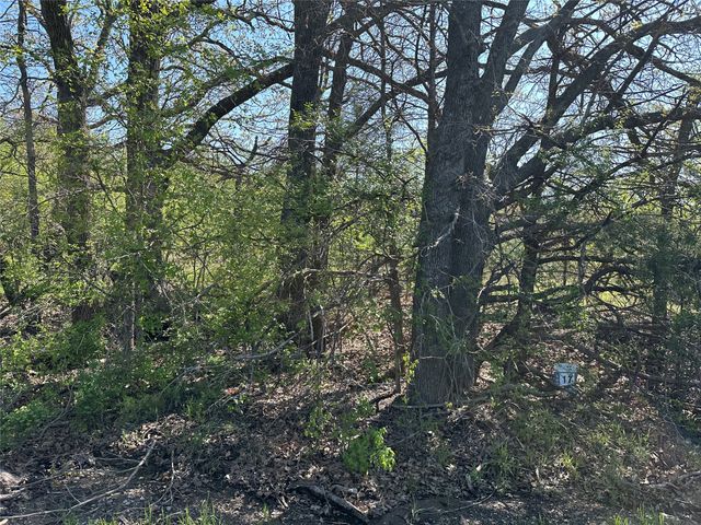 Tract 17 County Road 2960, Honey Grove, TX 75446