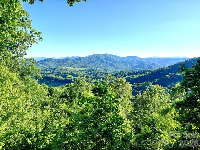 314 Blackberry Lane, Clyde, NC 28721