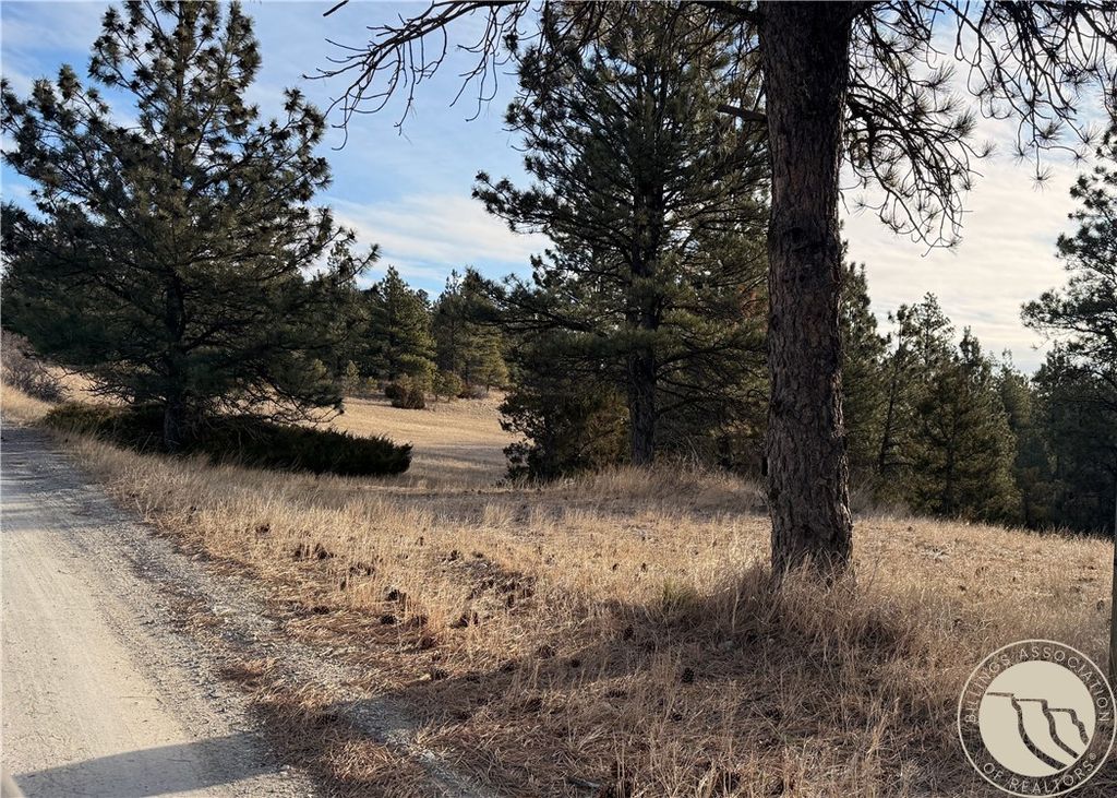 42 Bozeman TRAIL, Columbus, MT 59019 photo 3