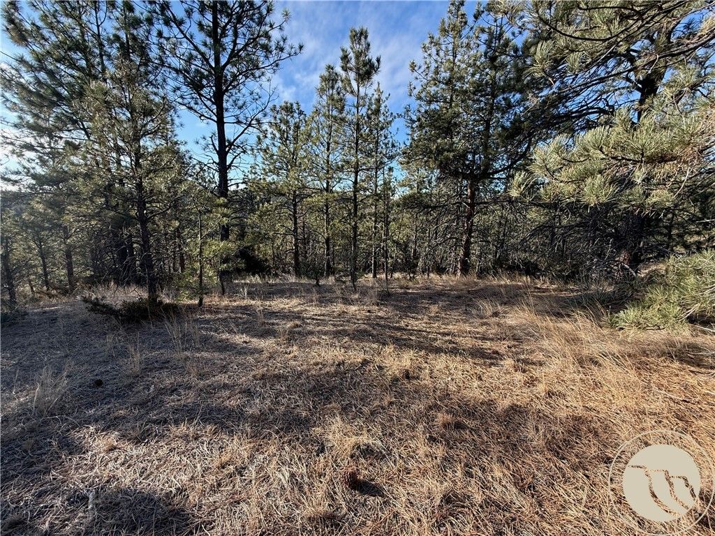 42 Bozeman TRAIL, Columbus, MT 59019 photo 4