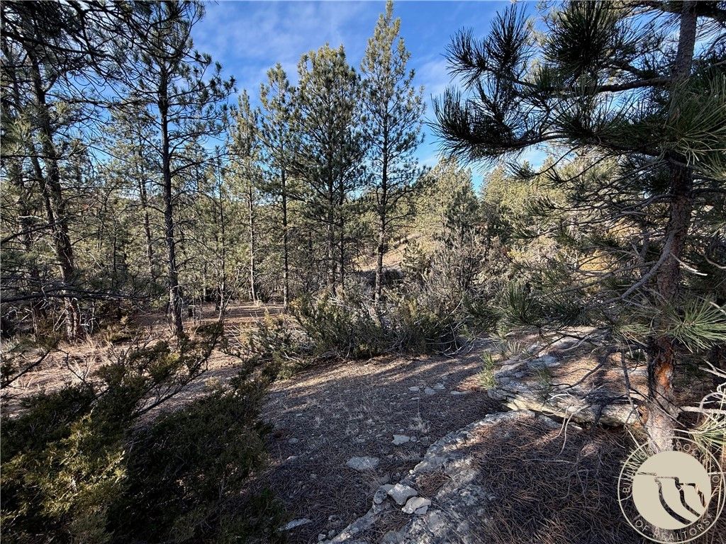 42 Bozeman TRAIL, Columbus, MT 59019 photo 5