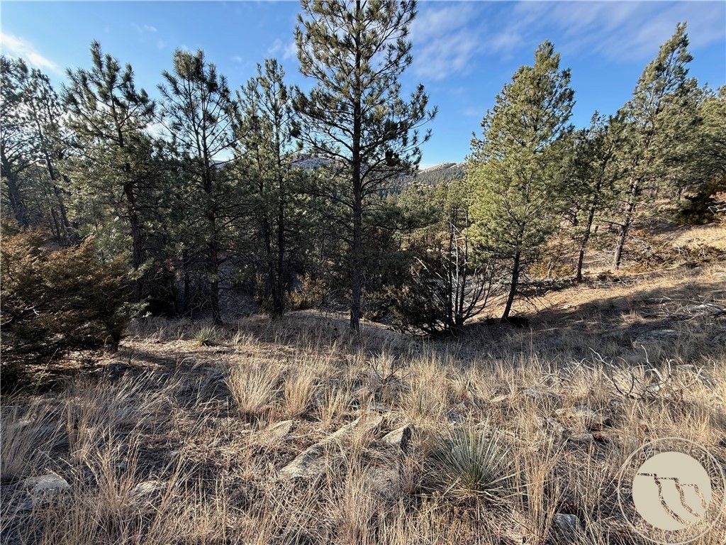 42 Bozeman TRAIL, Columbus, MT 59019 photo 6