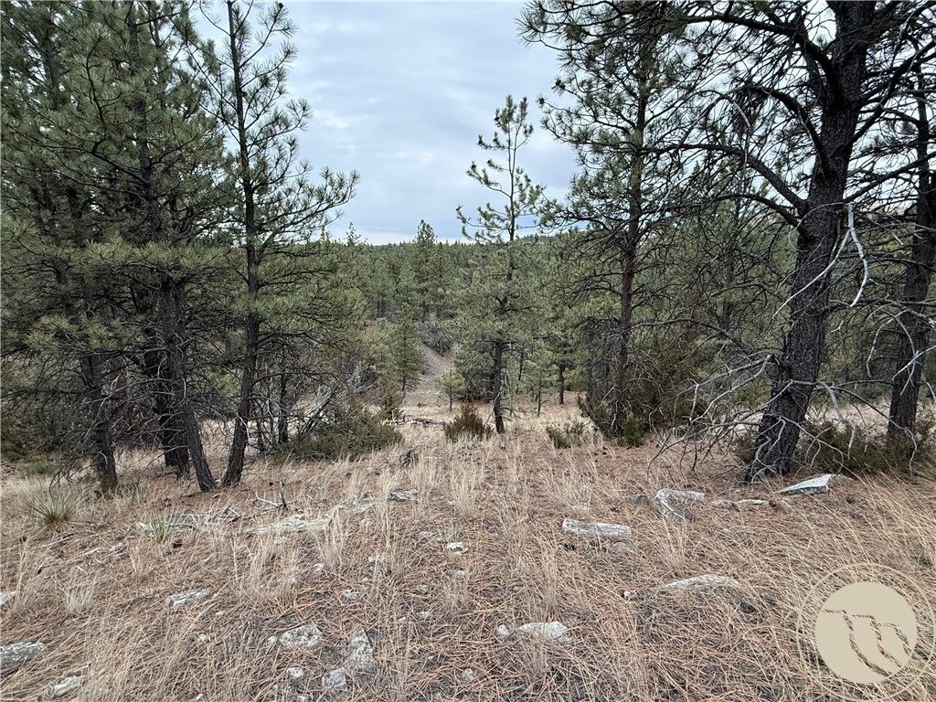 42 Bozeman TRAIL, Columbus, MT 59019 photo 7