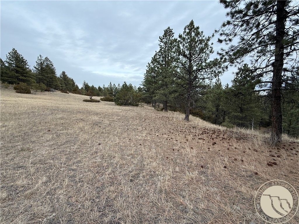 42 Bozeman TRAIL, Columbus, MT 59019 photo 8