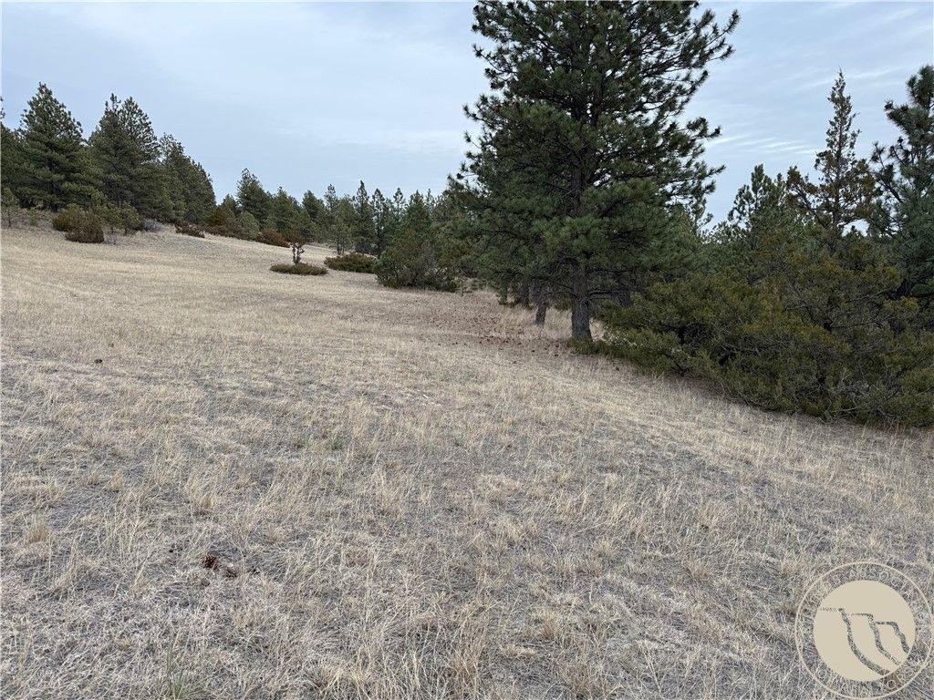 42 Bozeman TRAIL, Columbus, MT 59019 photo 9