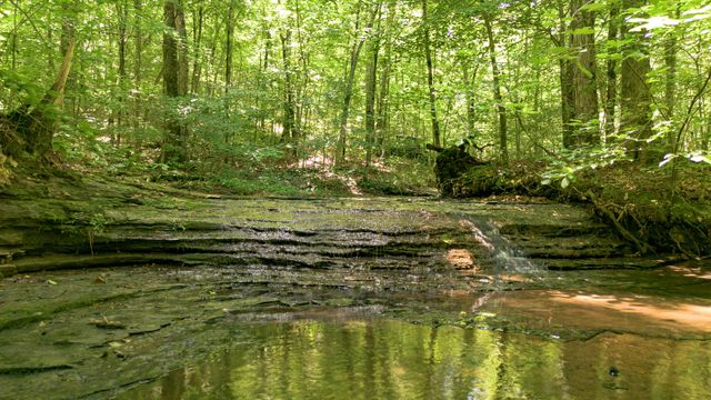 8234 Old Pond Creek Rd, Pegram, TN 37143