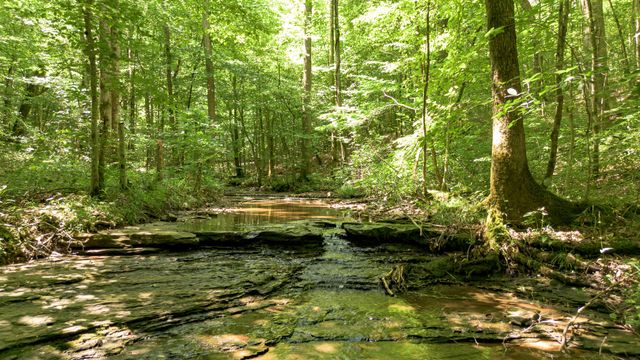 8234 Old Pond Creek Rd, Pegram, TN 37143