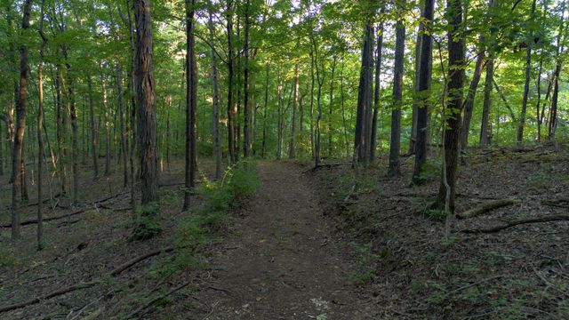 8234 Old Pond Creek Rd, Pegram, TN 37143