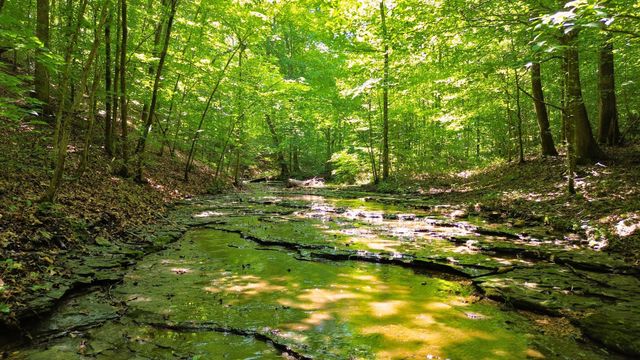 8234 Old Pond Creek Rd, Pegram, TN 37143