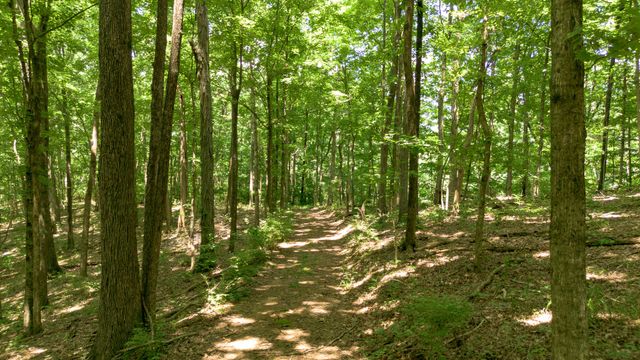 8234 Old Pond Creek Rd, Pegram, TN 37143