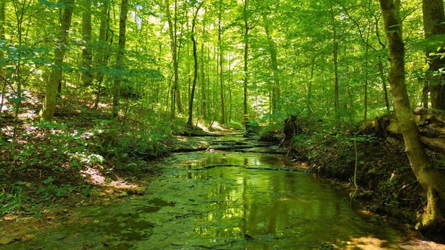 8234 Old Pond Creek Rd, Pegram, TN 37143