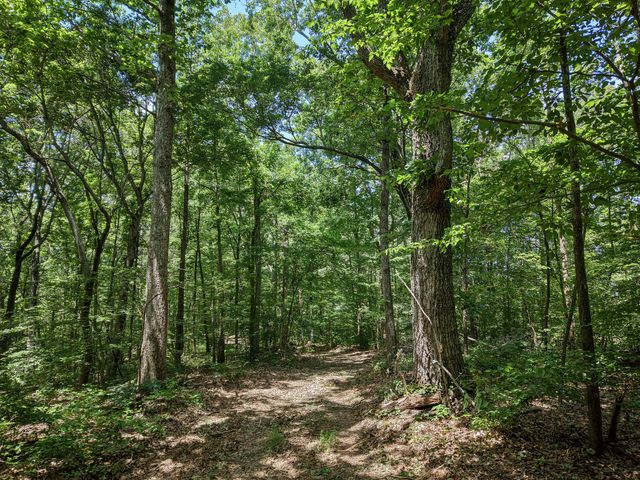 8234 Old Pond Creek Rd, Pegram, TN 37143