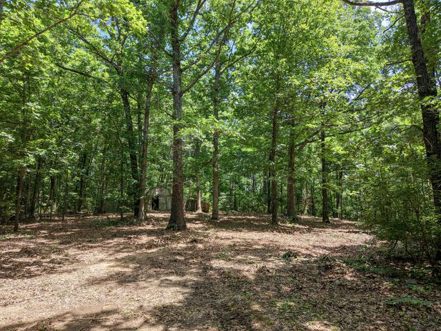 8234 Old Pond Creek Rd, Pegram, TN 37143