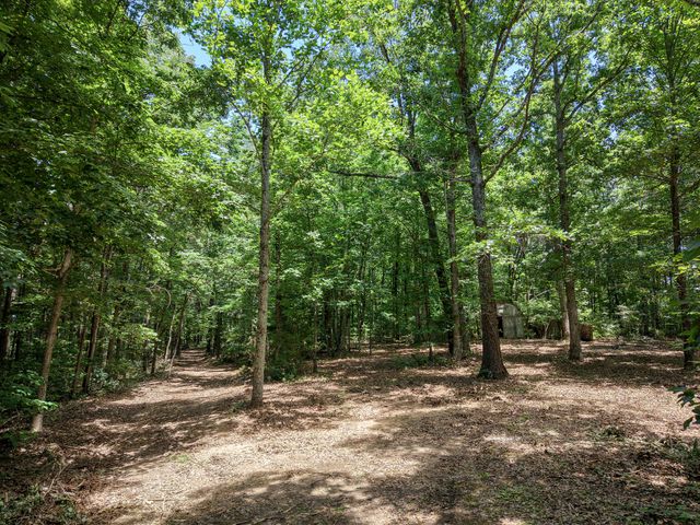 8234 Old Pond Creek Rd, Pegram, TN 37143
