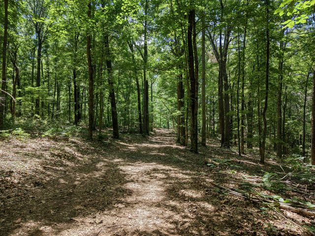 8234 Old Pond Creek Rd, Pegram, TN 37143