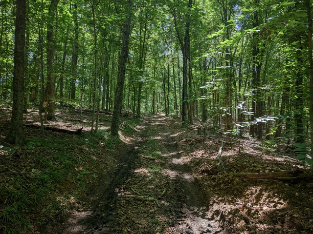 8234 Old Pond Creek Rd, Pegram, TN 37143