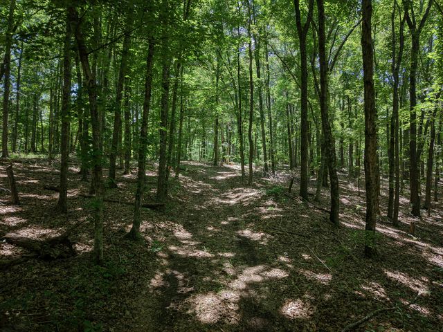 8234 Old Pond Creek Rd, Pegram, TN 37143