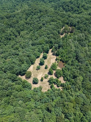 8234 Old Pond Creek Rd, Pegram, TN 37143