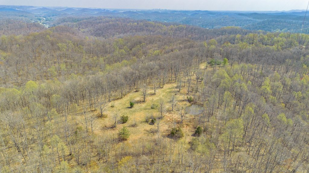 8234 Old Pond Creek Rd, Pegram, TN 37143